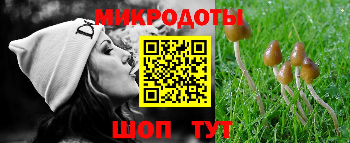Прохладный  Галлюциногенные грибы Cubensis  Вход с VPN 